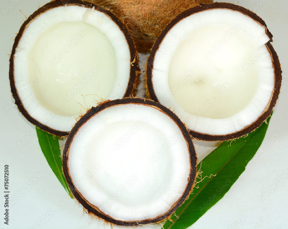 Coconut Coconut