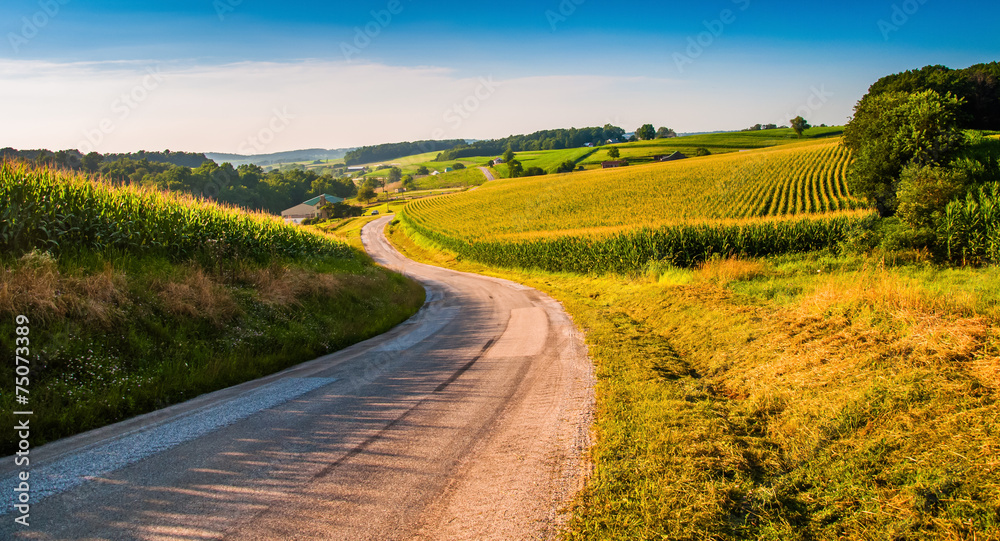 Obraz premium Farm fields along a country road in rural York County, Pennsylva