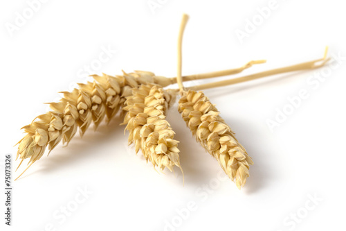 three ears of wheat