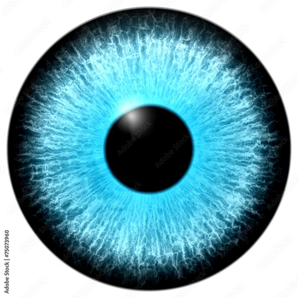 Illustration of a blue eye with light reflection Illustration of a blue eye with light reflection