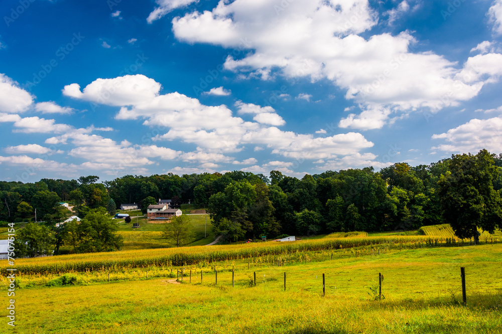 Fototapeta Farm fields and rolling hills near Glen Rock, Pennsylvania.