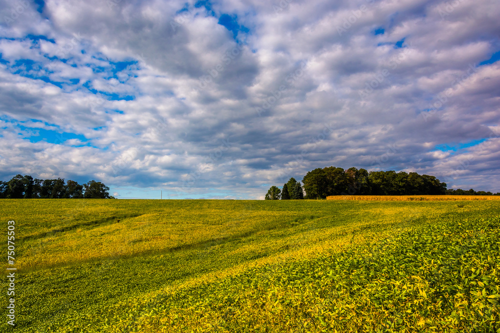 Farm fields and rolling hills near Stewartstown, Pennsylvania.