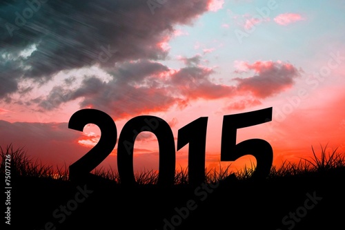 Composite image of 2015