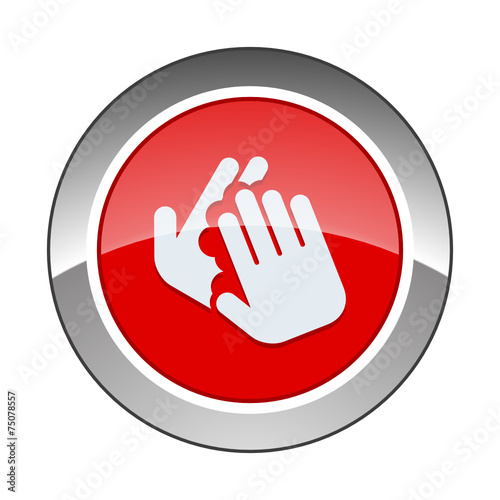 Chrome Icon