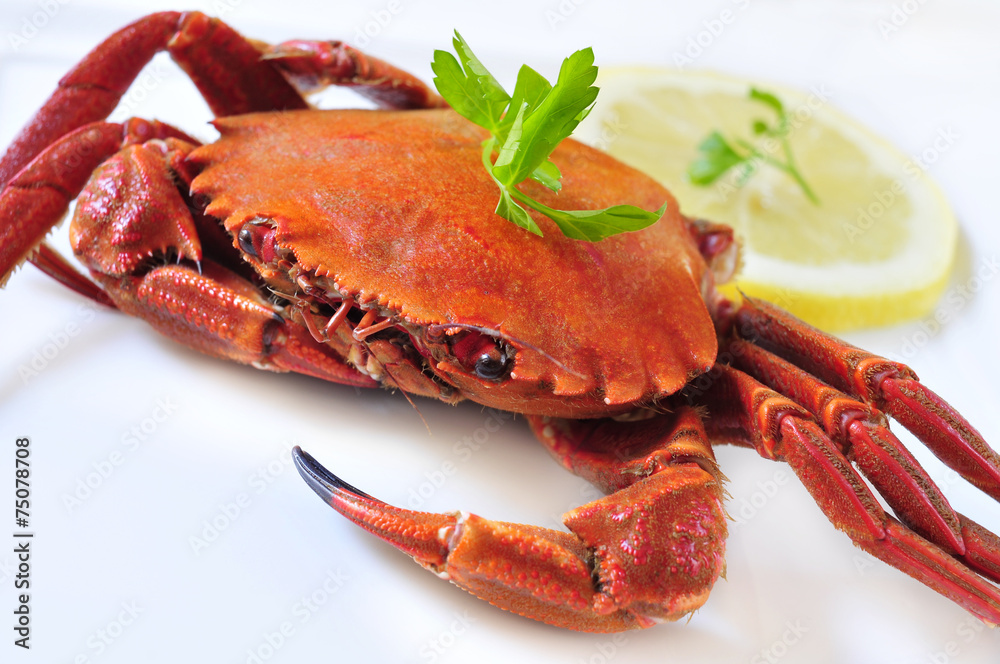 cooked velvet crab
