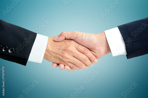 Handshake of businessmen - success, dealing, greeting concept
