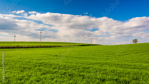 Grassy fields in rural York County, Pennsylvania