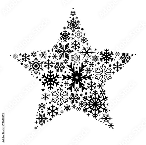 Star made of different shape snow flakes vector