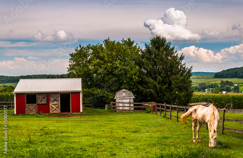 Horse and red stable in a field in Southern York County, Pennsyl photo