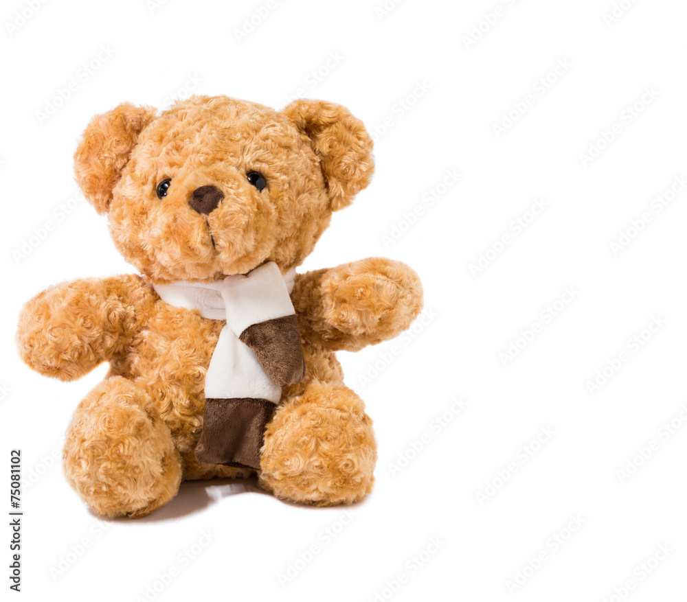 teddy bear teddy bear