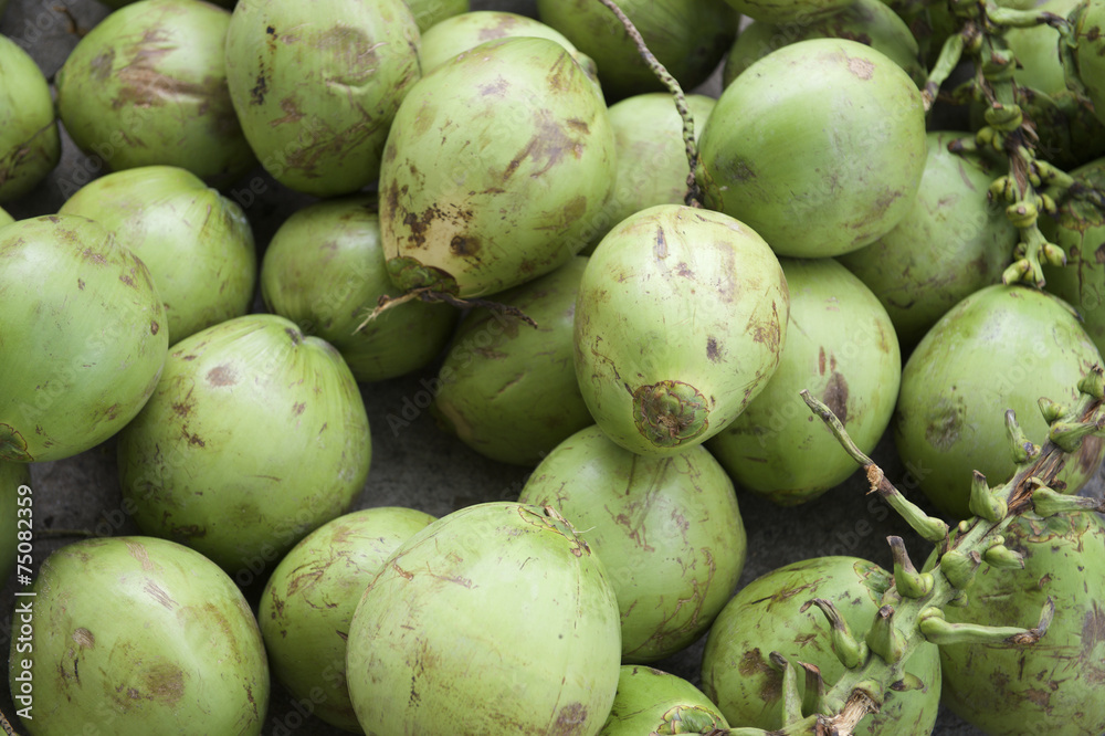 Pile of Fresh Green Brazilian Coconuts