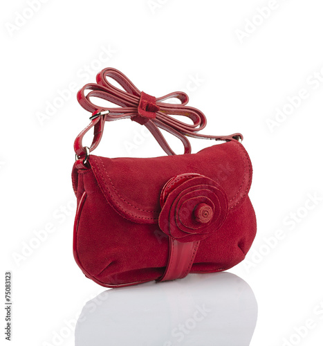 Fashionable women handbag