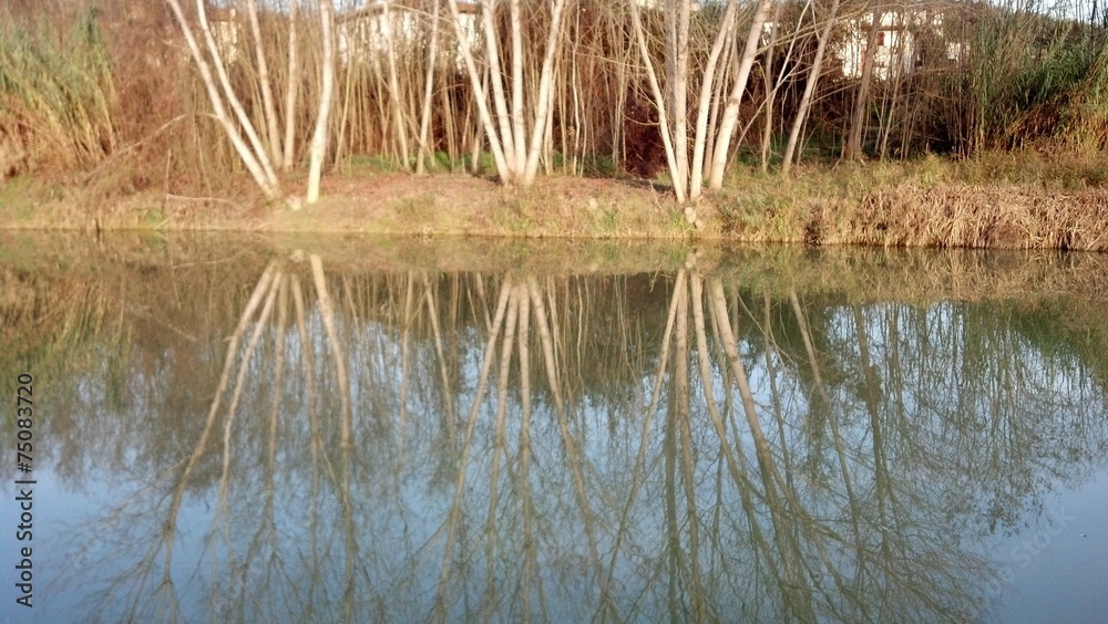 Riflesso sul fiume Riflesso sul fiume