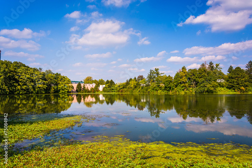 Fototapeta Naklejka Na Ścianę i Meble -  Pond in Spring Grove, Pennsylvania.