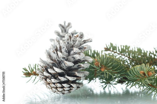 Christmas fir-cone with fir branches