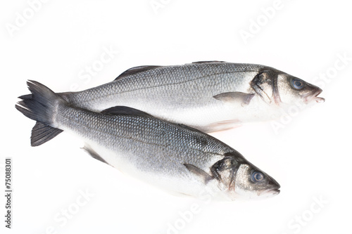 Two fresh fish on a light background.