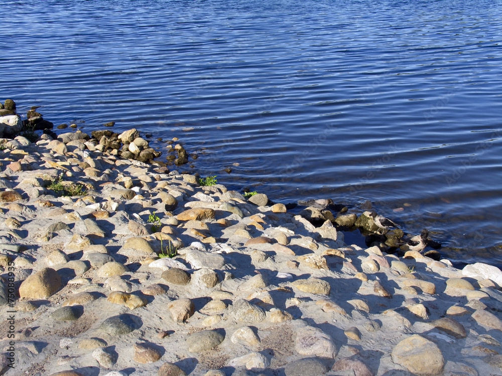 Rocky shore of river. Water's edge