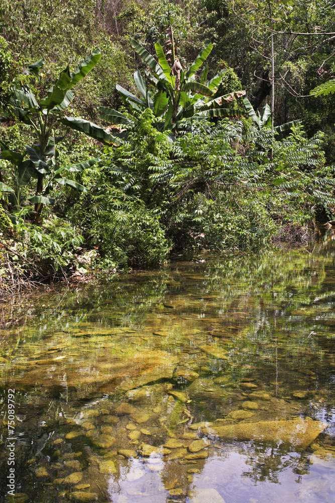 Natural Park El Cubano. Cuba Natural Park El Cubano. Cuba