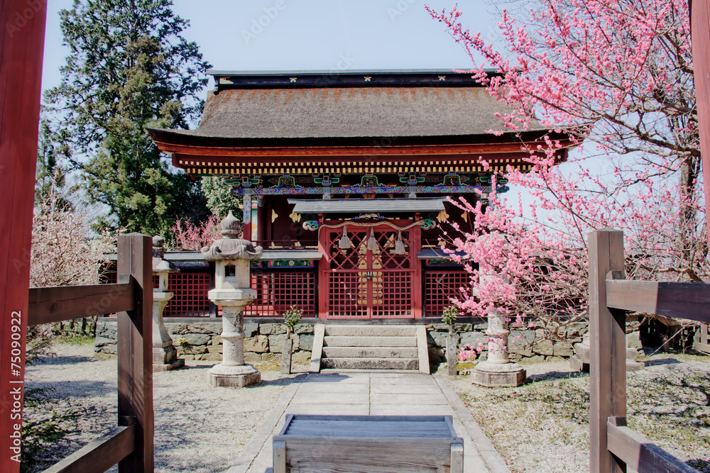 Naklejka premium 威徳天満宮と紅梅