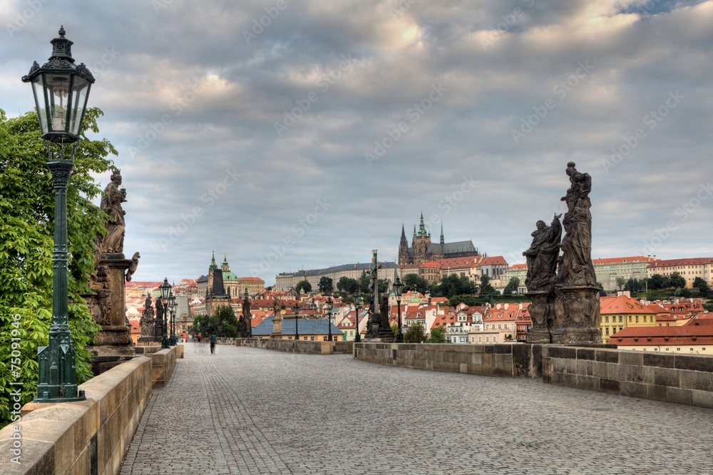 Fototapeta premium Charles Bridge in Prague, Czech Republic