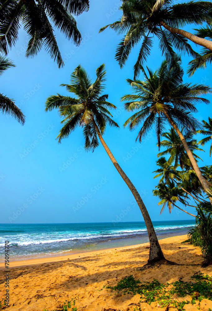 Obraz premium Sri Lanka