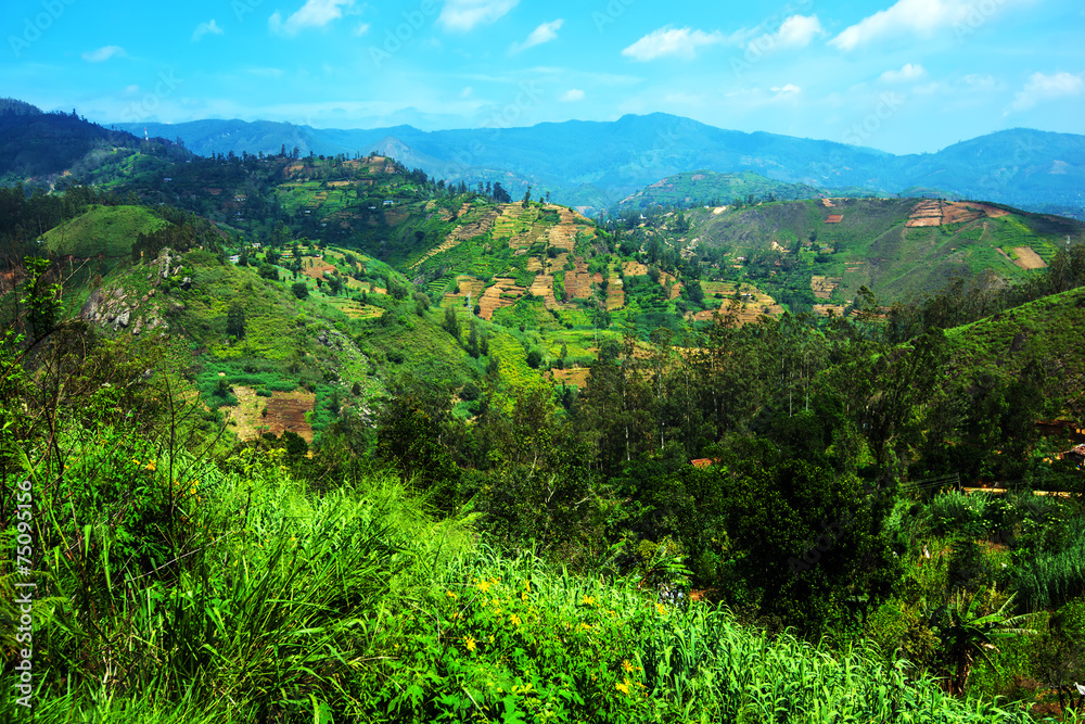 Fototapeta premium Sri Lanka