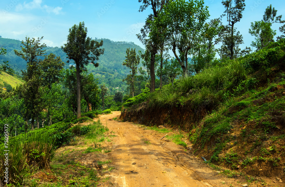 Fototapeta premium Sri Lanka