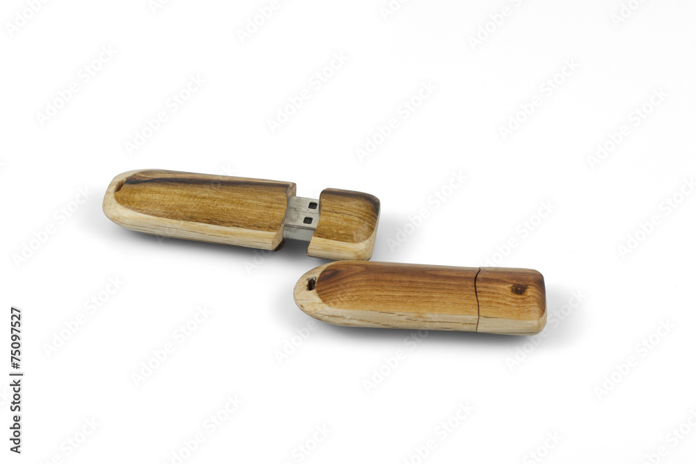 USB Drives in Wooden Shells USB Drives in Wooden Shells