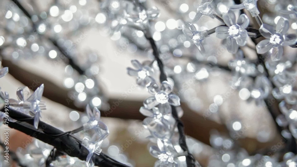 Christmas lights Christmas lights