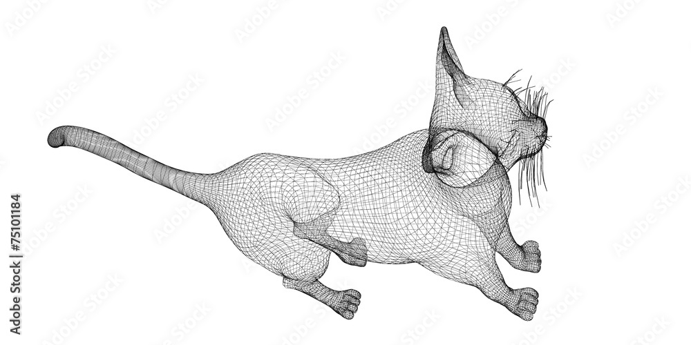 Obraz premium cat model