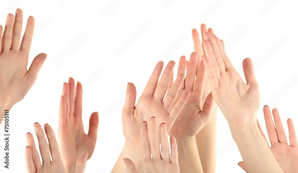 Group of people raising hands isolated on white background Group of people raising hands isolated on white background