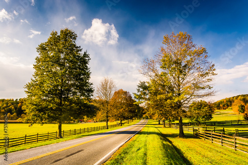 Trees and farm fields along a road in rural York County, Pennsyl photo