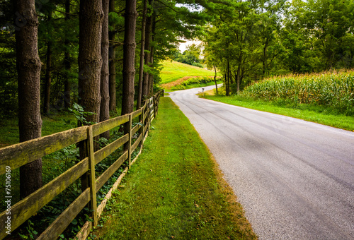 Billede på lærred Trees and fence along a dirt road in rural York County, Pennsylv