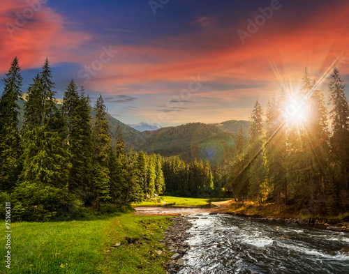 Mountain river in pine forest at sunset