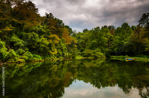 Trees and storm clouds reflecting in a pond in York County  Penn