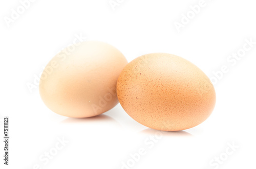 eggs isolated on white and gray background