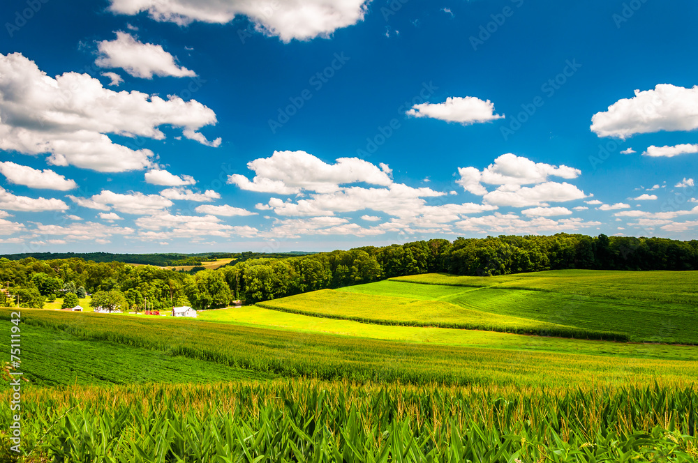 Fototapeta premium View of farm fields and rolling hills in rural York County, Penn