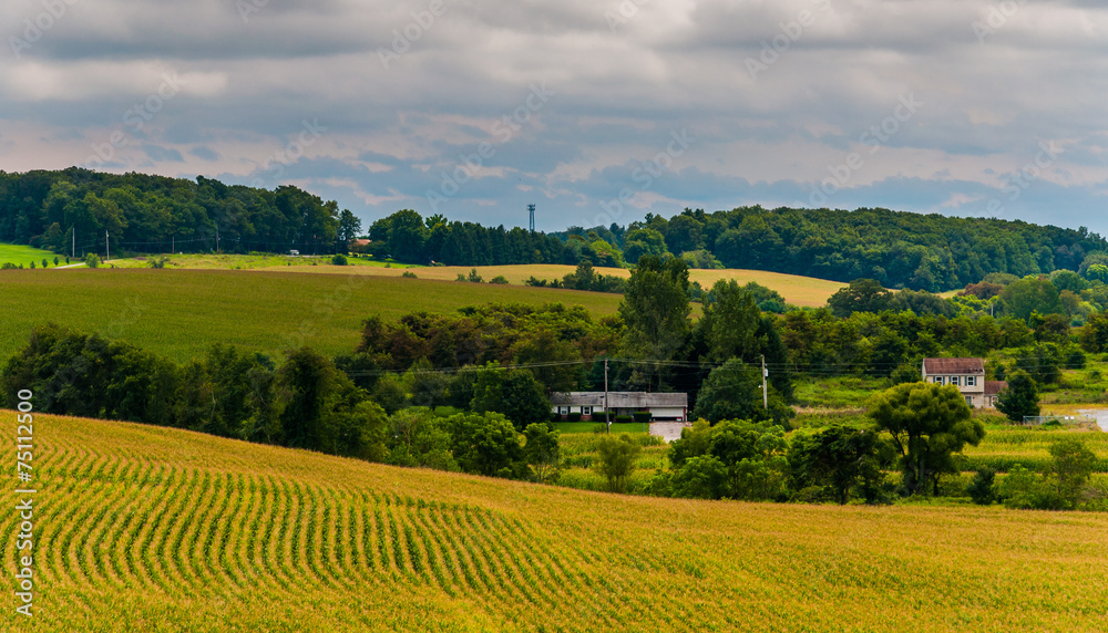 View of farm fields and rolling hills in rural York County, Penn