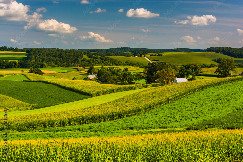 View of farm fields and rolling hills in Southern York County, P