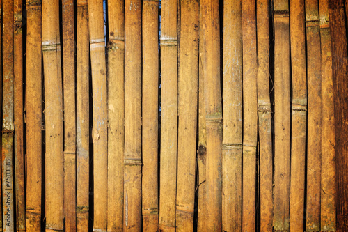 Bamboo background