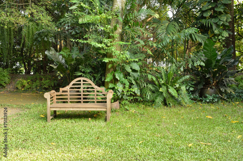 timber bench in the garden timber bench in the garden
