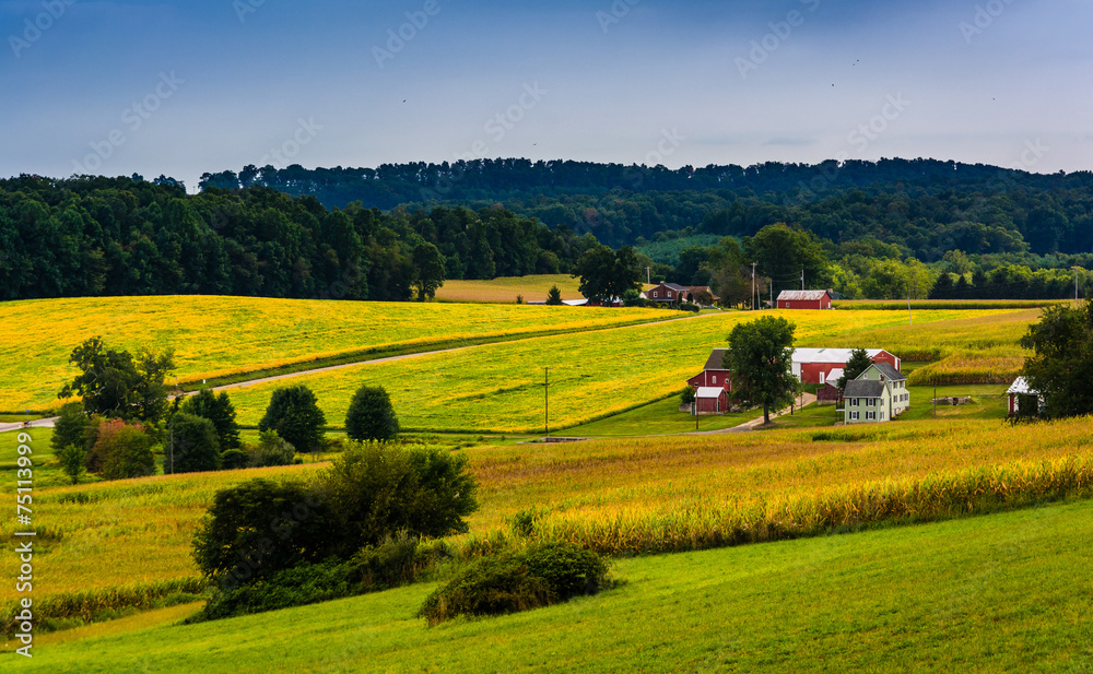 View of rolling hills and farm fields in rural York County, Penn
