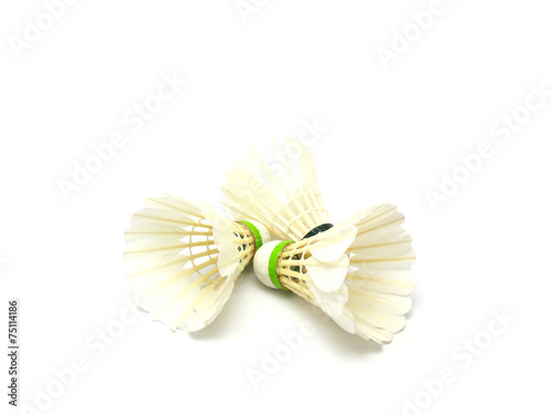badminton isolated on a white background