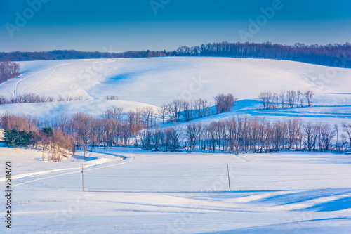 Fototapeta Naklejka Na Ścianę i Meble -  View of snow covered rolling hills and farm fields in rural York