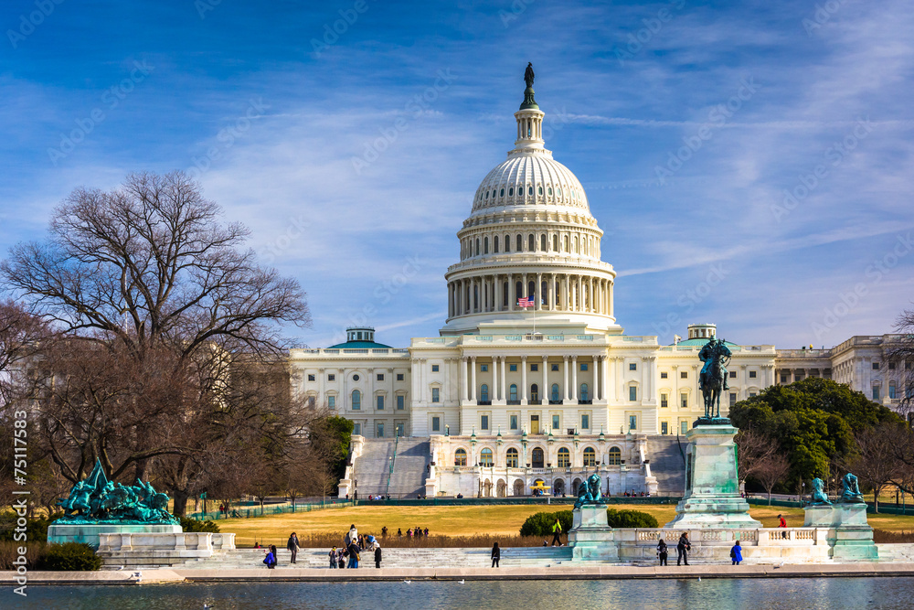 Fototapeta premium The United States Capitol and reflecting pool in Washington, DC.