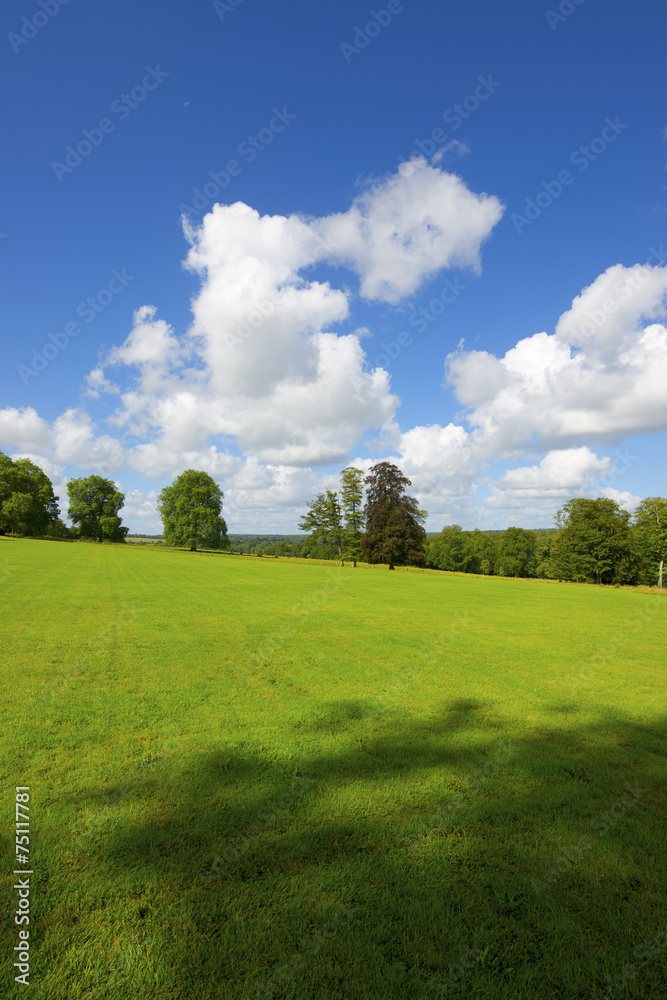 Normandy Normandy