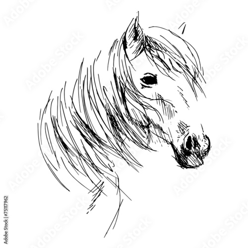 Hand drawing horse head
