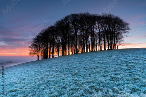 Winter Sunrise photo