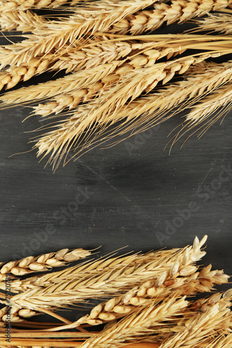 Spikelets of wheat on dark wooden background © Africa Studio