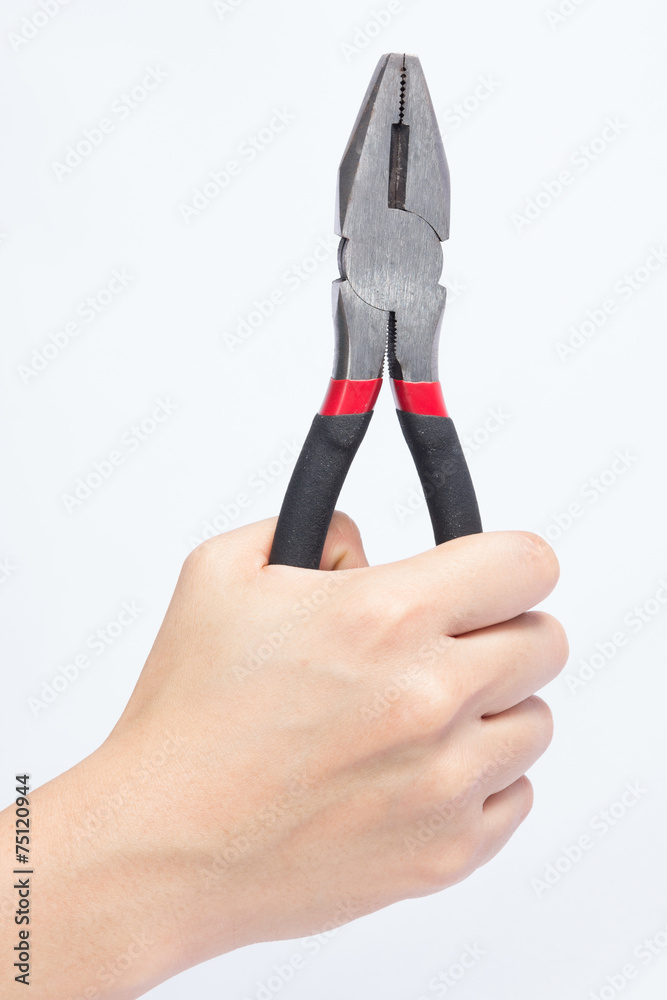 Obraz premium Pliers in hand